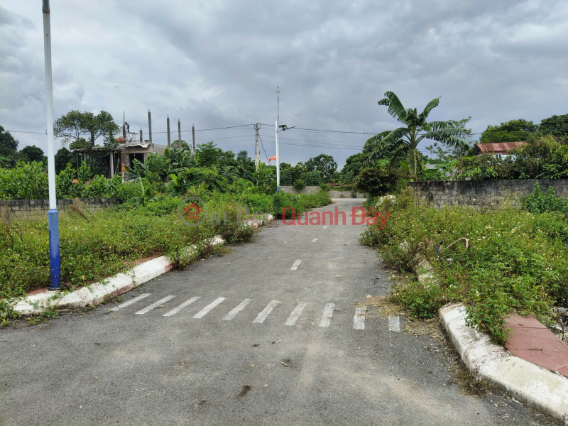 Property Search Vietnam | OneDay | Nhà ở | Niêm yết bán | Đất thổ cư khu Đồi, An Nghĩa DT59m2, MT4.1m, 570 triệu Phú Thọ