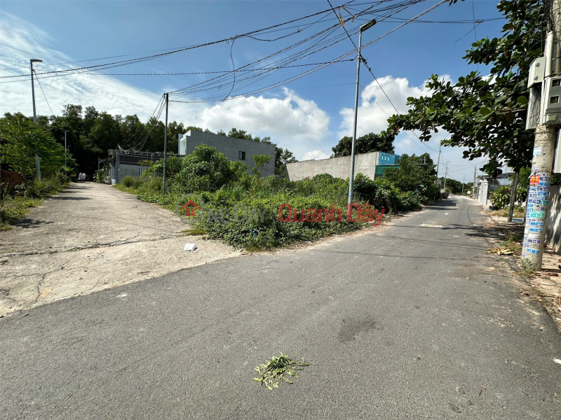PLOT OF LAND WITH TWO STREET FRONTAGES - INVESTMENT OPPORTUNITY, QUICK SALE NEEDED in Long Dien commune, Ba Ria - Vung Tau., Vietnam | Sales, đ 2.5 Billion