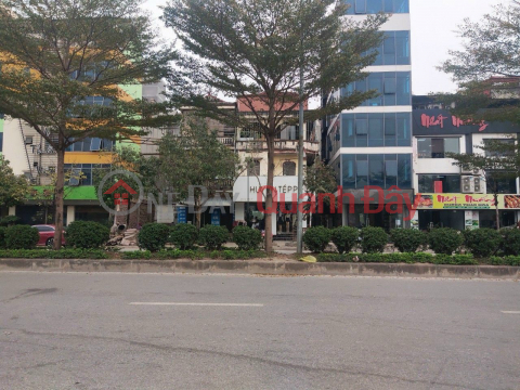 Land for sale in Tran Dien - Hoang Mai, 145m2, 12m frontage, price 37 billion. _0