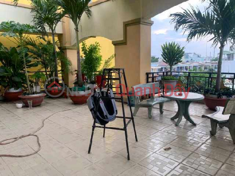 Biệt Thự Sân Vườn 4 Tầng, Phường 15 , Tân Bình _0