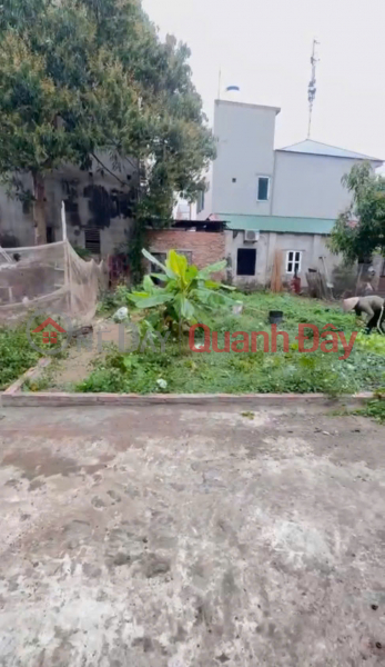 Owner sells land in Bach Da village, Kim Hoa, Me Linh. Located close to Ring Road 4. Sales Listings