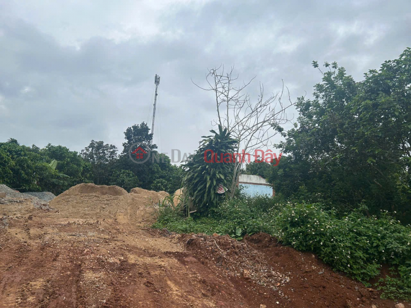 Property Search Vietnam | OneDay | Residential, Sales Listings | BEAUTIFUL LAND - GOOD PRICE OWNER SELLS BEAUTIFUL LAND IN PRIME LOCATION IN DI LINH - LAM DONG