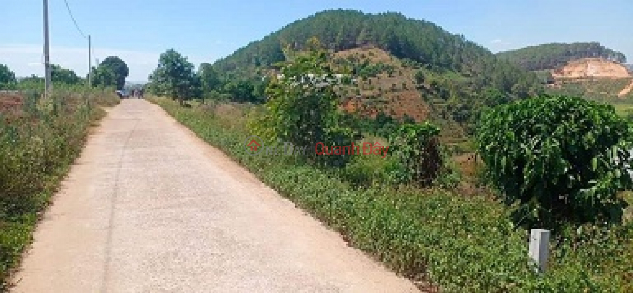 The owner needs to sell the land plot Me Linh near Nam ban villa, extended Da Lat area. Sales Listings