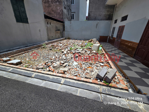 LAND FOR SALE 42.5M2 IN DONG ANH TOWN - ONLY ABOVE 3 BILLION _0