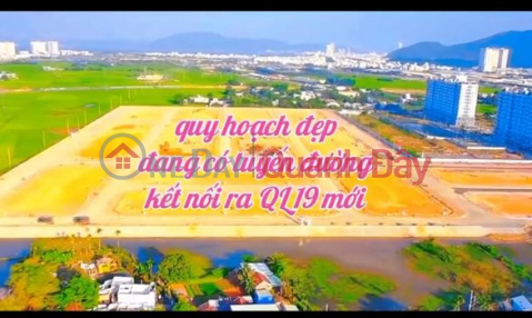 Selling land in Dinh market area. Near Ecohome Nhon Binh apartment building. Quy Nhon City _0