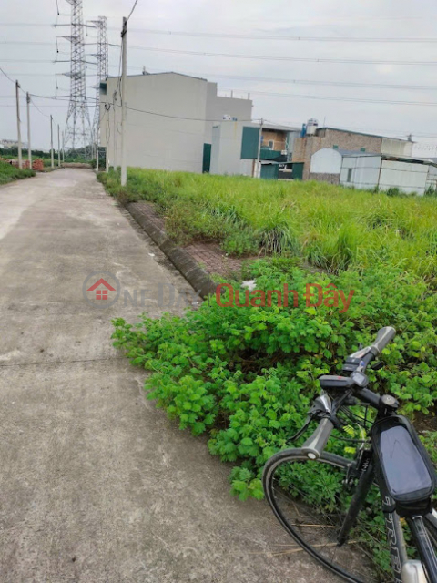 Land for sale in Ngai Duong - Dinh Du - Van Lam - Hung Yen _0