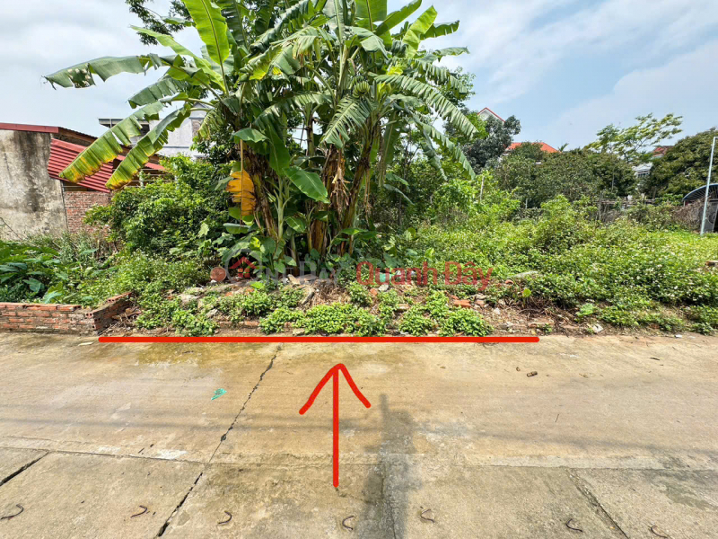 Property Search Vietnam | OneDay | Residential, Sales Listings Land for sale in Thanh Lam, Me Linh. Road is clear, cars can avoid, near Me Linh fruit market.