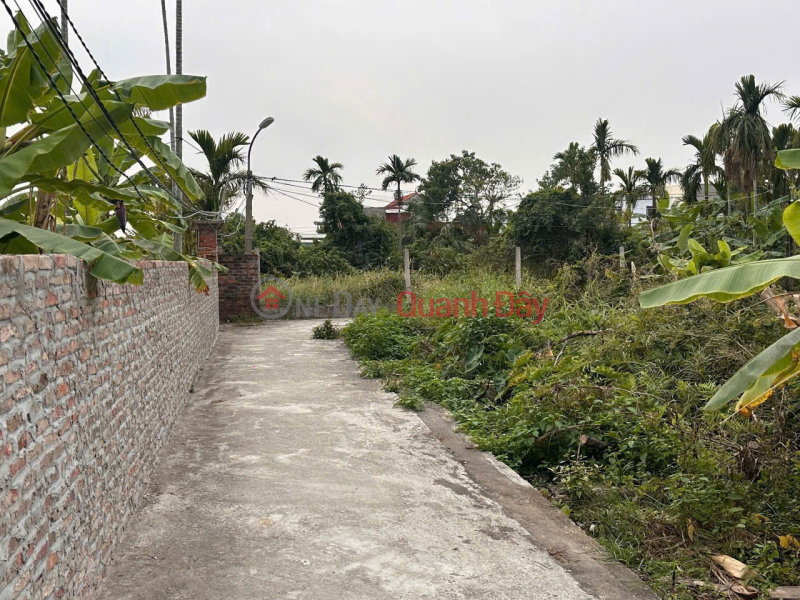  | Làm ơn chọn | Nhà ở, Niêm yết bán | đ 1,25 tỷ