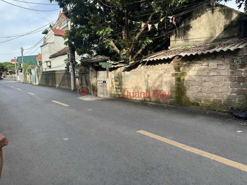 Property Search Vietnam | OneDay | Residential | Sales Listings | Consignment for sale 56.7m2, 4.5m square meter, 3.x billion, Phung Chau main axis, asphalt strip, business, auto avoidance.