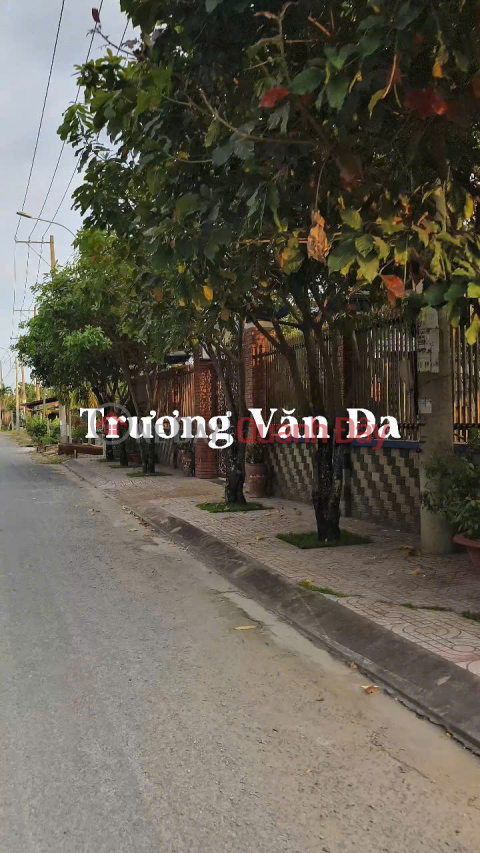 (6) Selling frontage land, 1,540m2; 2,812m2; 3,303m2; 5,138m2; 10,700m2 at low price; with residential land, Binh Chanh _0