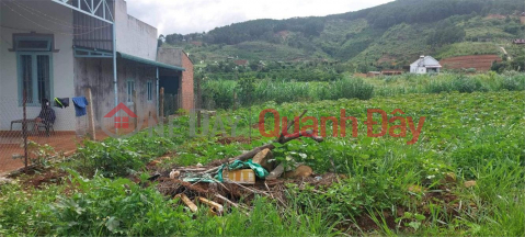 BEAUTIFUL LAND - GOOD PRICE - OWNER NEEDS TO SELL LAND URGENTLY At Gia Lam Commune, Lam Ha District, Lam Dong Province _0