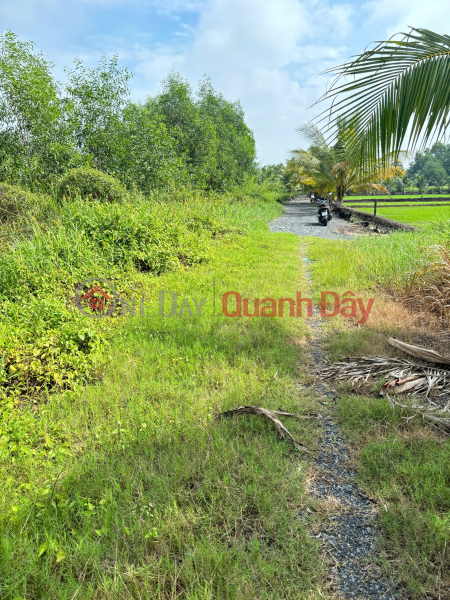 Chính Chủ 179m2 Đất Tại Ấp 2, Xã Hữu Thạnh, Huyện Đức Hoà, Long An. Full Thổ Cư. | Việt Nam, Bán | đ 1,3 tỷ