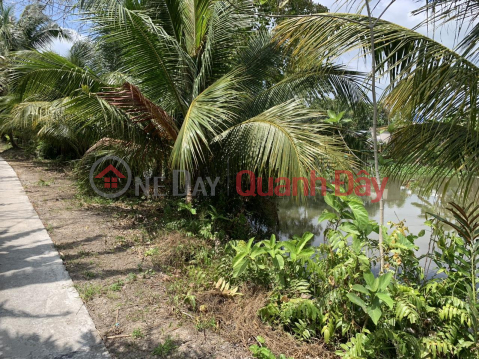 BEAUTIFUL LAND - Owner Sells Land Plot Quickly In Cay Duong Town, Phung Hiep, Hau Giang _0