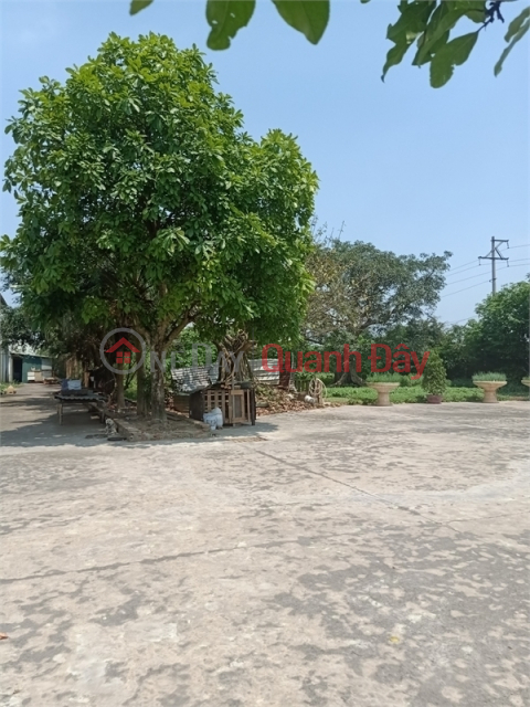 1.6ha industrial land for sale for 50 years in Song Mai Commune, Bac Giang City _0