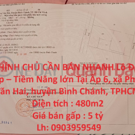 OWNER NEEDS TO SELL QUICK Beautiful Lot - Great Potential In Binh Chanh District, HCMC _0