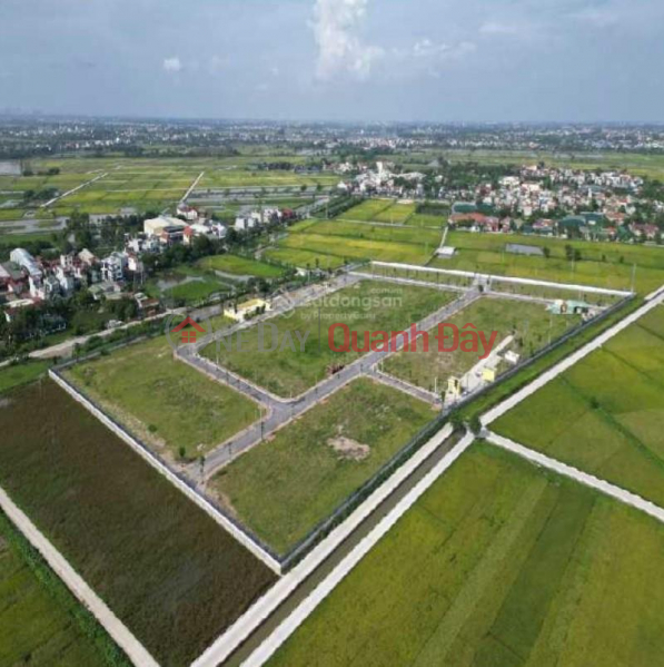 Selling from 500m2 of industrial land in Thang Loi, Thuong Tin, price 9 million\\/m2, Vietnam, Sales, ₫ 4.5 Billion