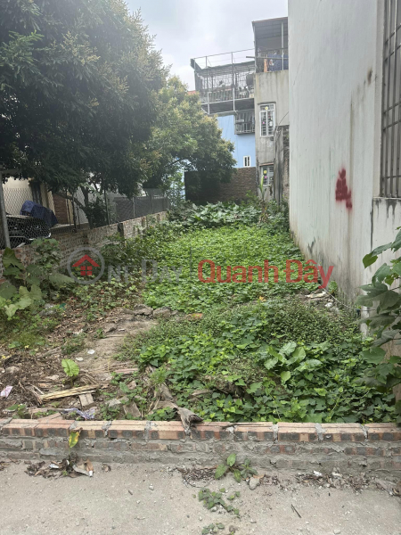 Property Search Vietnam | OneDay | Residential | Sales Listings | FOR SALE ANCIENT LAND LONG BIEN 90M PRICE 8 BILLION 9 AUTO DISTRICT BENEFITS, NEAR THE STREET.
