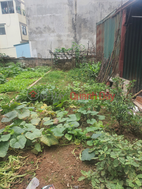 CHÍNH CHỦ BÁN ĐẤT TRÂU QUỲ - GIA LÂM, DIỆN TÍCH 46 m2, Giá 5.6 tỷ _0