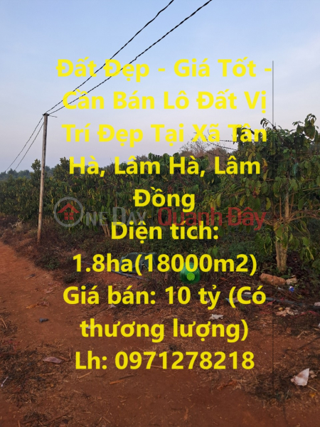 Beautiful Land - Good Price - Beautiful Land Lot for Sale in Tan Ha Commune, Lam Ha, Lam Dong Sales Listings