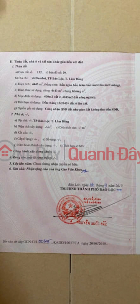 ĐẤT SIÊU ĐẸP - GIÁ ĐẦU TƯ CHÍNH CHỦ BÁN NHANH ĐẤT TẠI Nguyễn Việt Xuân,Xã Đam Bri, Bảo Lộc | Việt Nam Bán đ 35,5 tỷ