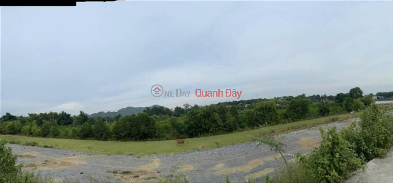 Property Search Vietnam | OneDay | Residential Sales Listings | BEAUTIFUL LAND - GOOD PRICE - OWNER NEEDS TO SELL LAND LOT IN THE CENTER OF Yen Lam Town, Yen Dinh, Thanh Hoa