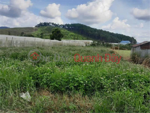 BEAUTIFUL LAND - GOOD PRICE - OWNER NEEDS TO SELL LAND PLOT At Address: Lac Xuan Commune, Don Duong, Lam Dong _0