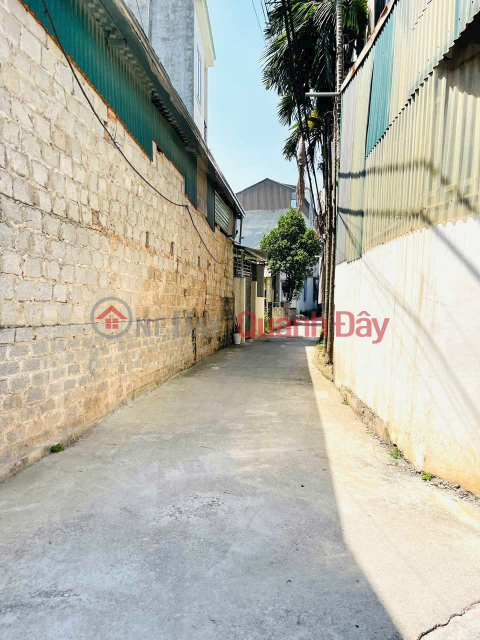 Own an ideal piece of land in Me Noi, Liem Chinh, Ha Nam with prices starting from only 1.4 billion _0