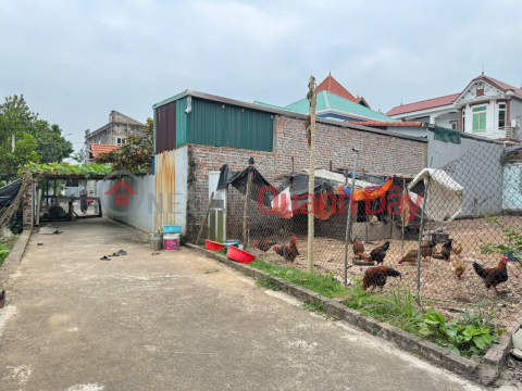 Quick sale of 107m² land in Hoang Kim, Me Linh. Right at the foot of Hong Ha bridge, on Ring Road 4. _0