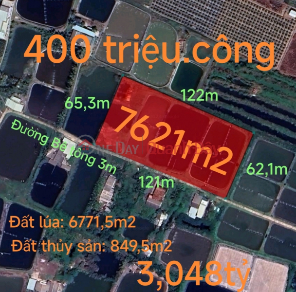 Urgent sale of rice land in Nhut Ninh commune for 400 million Sales Listings