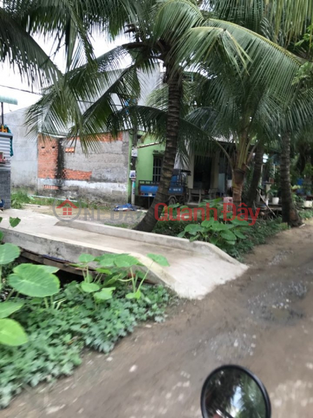 Land for sale in An Ha, Pham Van Hai commune, Binh Chanh, 50m2, TT price 450 million Vietnam, Sales | đ 450 Million