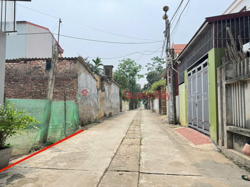 Selling 100m2 of land in Hoang Kim, Me Linh, Hanoi. Clear road, car access, frontage for business Sales Listings