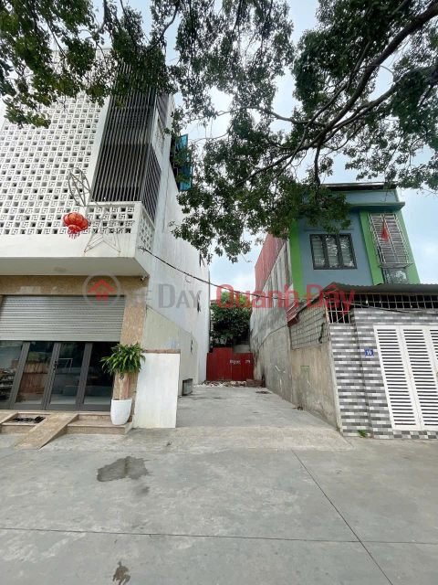 Lô đất Bùi Thị Tự Nhiên - 80m - Ngõ 7m - cạnh Sân bóng Đông Hải _0