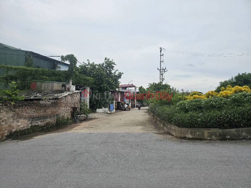 Property Search Vietnam | OneDay | Residential, Sales Listings, GOLDEN LAND IN THE CENTER OF HO WARD - CAR ACCESS - OWNER'S RED BOOK - 1.65 BILLION!