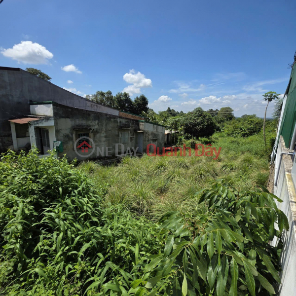 PRIME LOCATION – GREAT PRICE – 460M² LAND FOR SALE IN Ea Nuôl Commune, Buôn Đôn District, Đắk Lắk Province Vietnam, Sales, đ 2.3 Billion