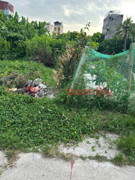1.x million\\/m2 – 126m2 Lane 169 Tan Thanh Duong Kinh – Zalo 0567222555 Vietnam | Sales, đ 17.5 Million