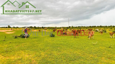 FOR SALE LOT OF LAND NEAR THE SEA AND INTER-DISTRICT ROAD _0