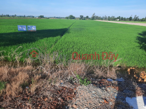 OWNER Needs to Sell Land on Provincial Road 919 In Dong Binh Commune, Thoi Lai, Can Tho _0