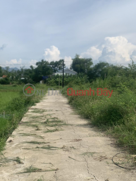 GOOD PRICE - FAST LOCKING - Owner For Sale Land Lot In Dien Tho, Dien Ban - Quang Nam | Vietnam, Sales đ 580 Million