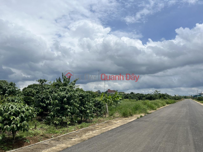 Land FOR SALE URGENTLY In Loc Phat Ward - Bao Loc City, Lam Dong Province Sales Listings