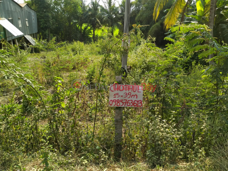 ₫ 850 Million | BEAUTIFUL LAND - GOOD PRICE - For Quick Sale Land Lot Prime Location In An Nong Commune, Tinh Bien Town, An Giang