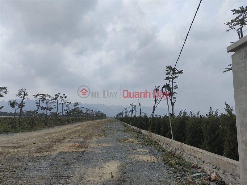 Selling 4ha of industrial land for 50 years in Hung Ha District, Thai Binh Province Sales Listings