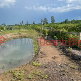 Bán 500m2 Đất Vườn Tại Đường ĐT816, Xã Bình Đức, Huyện Bến Lức, Long An _0