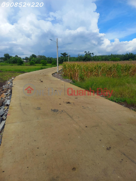 Property Search Vietnam | OneDay | Residential | Sales Listings, The owner needs to sell a 125m2 full residential plot of land in Gia Tan 2 commune, Thong Nhat