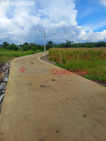 Property Search Vietnam | OneDay | Nhà ở Niêm yết bán, Chính chủ cần bán lô đất 125m2 full thổ cư tại xã Gia Tân 2, Thống Nhất