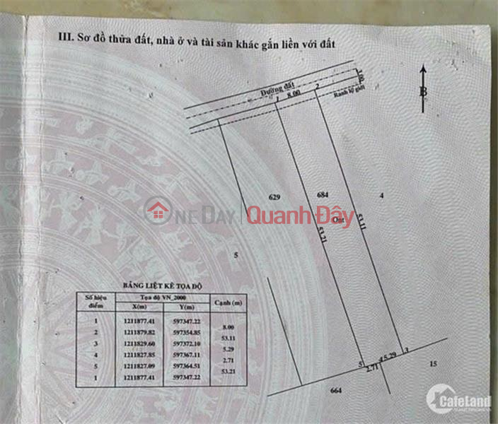 LAND owner Need to sell quickly a beautiful plot of land in Binh My commune, Cu Chi district, HCMC Sales Listings