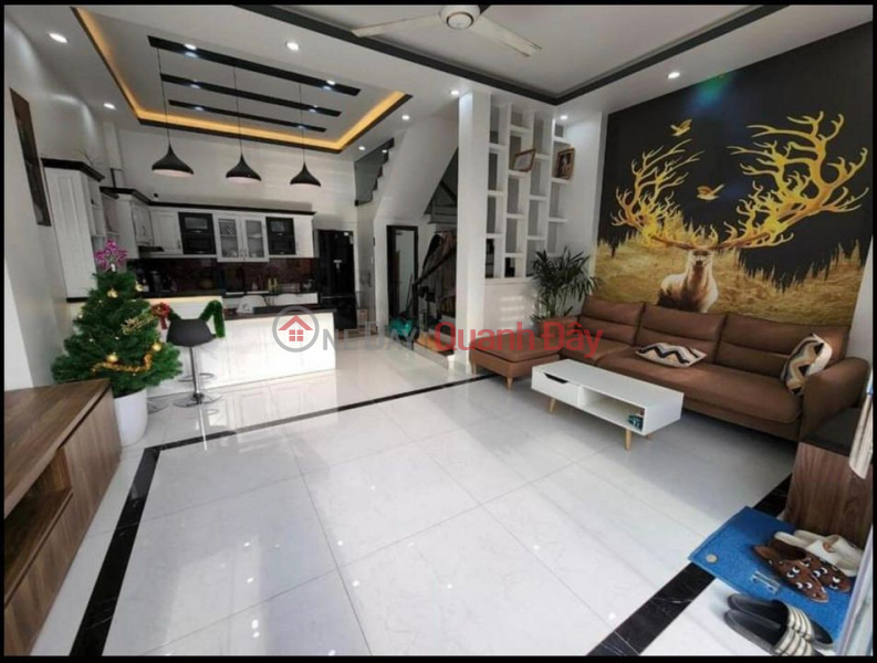 Independent house near Line 2, Mang Street, An Dong, near Hoang Huy, car to the door, full furniture Sales Listings
