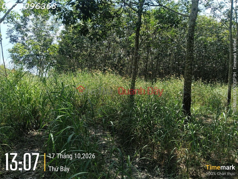 đ 6 tỷ | Bán lô đất siêu đẹp tại xã Long Hòa, TP. HCM, DT 2000m2, 6 tỷ, pháp lý đầy đủ