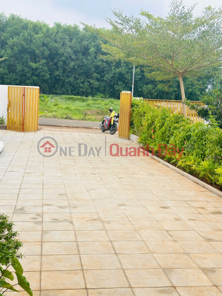 Chính Chủ Bán Đất Biệt Thự Vườn Greenery House Long Tân - Sổ Hồng Sẵn - Cơ Hội Đầu Tư Sinh Lời Cao | Vietnam | Sales | đ 3.5 Billion