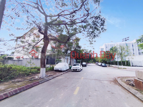 Land for sale in Sao Do Villa area - 200m² - 10m frontage - 12m road - right near Cau Rao Bridge. _0