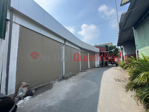 Opening for sale 04 houses in Cuu Quan village - Duc Thuong - Hoai Duc - Hanoi _0